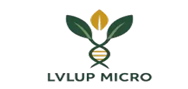 Group-105653-2-1024x220-5-1